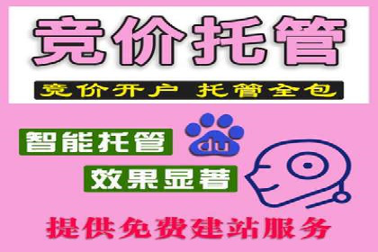 金融行业SEM服务的创新应用与效果